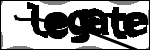 متن برای شناسایی