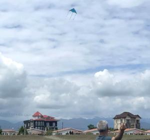 تصویر کوچک