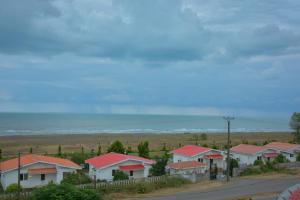 تصویر کوچک