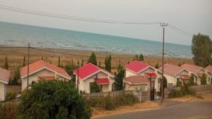 تصویر کوچک