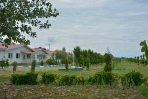 تصویر کوچک