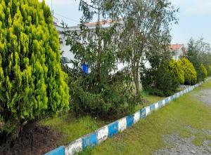 تصویر کوچک
