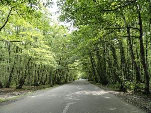 تصویر کوچک