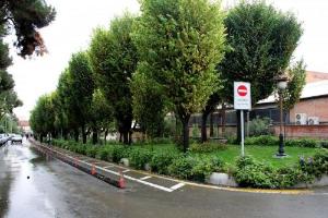 تصویر کوچک
