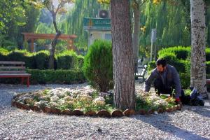 تصویر کوچک